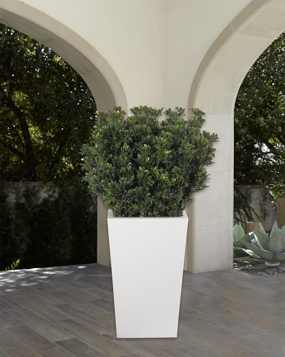 Faux Boxwood Plant in Tapered Rectangular Planter, 49"T