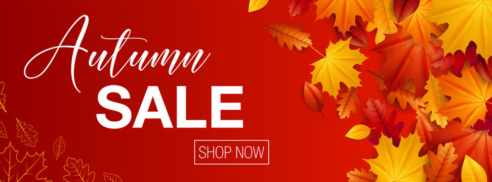 Fall Sale